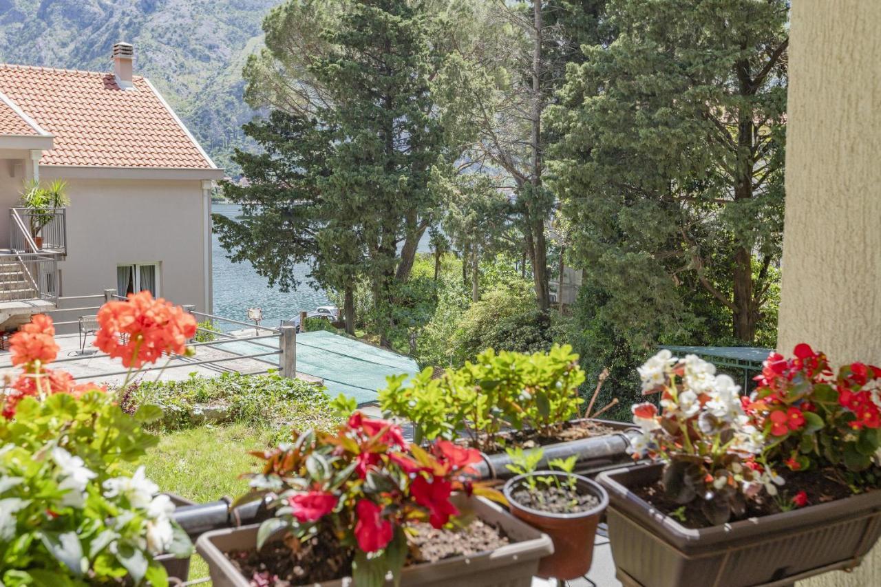 Muo Sea Front Apartments Kotor Exterior photo
